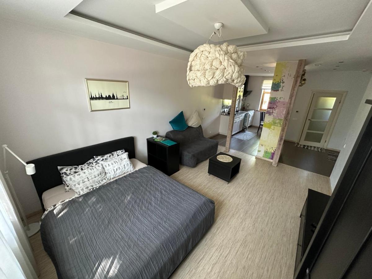 Studio Apartment In Private House Riga Buitenkant foto